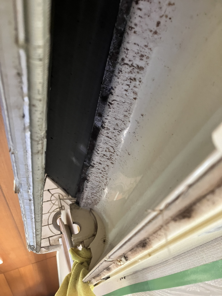 ファン取り外し後の汚れた内部